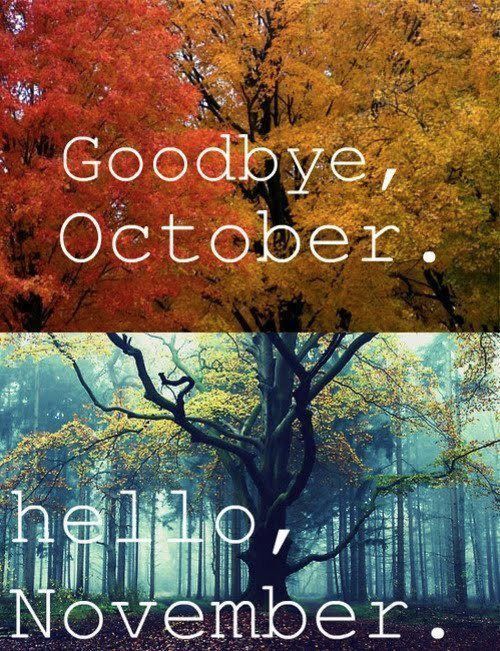Goodbye Oct hello Nov